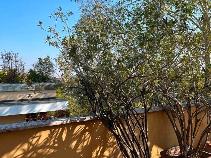 Casa con 6 locali in vendita in Pubblico Passeggio, Piacenza