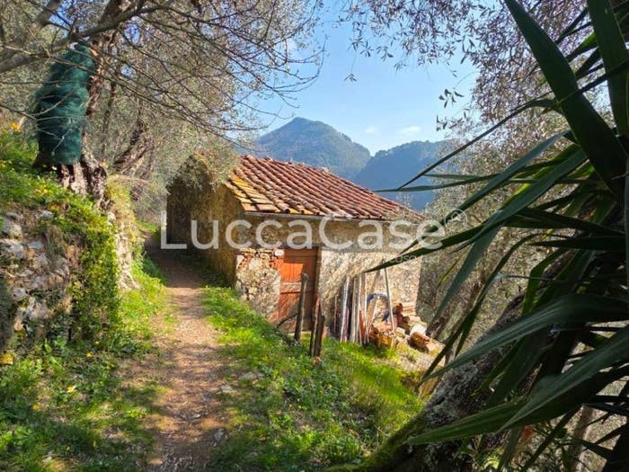 Casa quadrilocale in vendita in Camaiore Paese, Camaiore