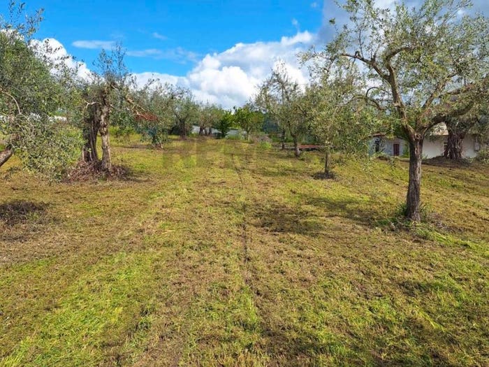 Casa con 5 locali in vendita in Via Monticelli, Squille, Castel Campagnano