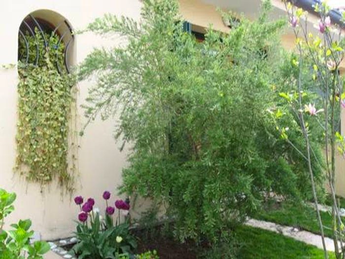 Casa con 6 locali in vendita in Centro, Preganziol