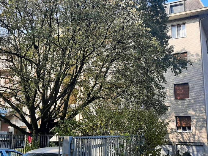 Appartamento trilocale in vendita in Via Cardinale Andrea Carlo Ferrari, Centro, Mariano Comense