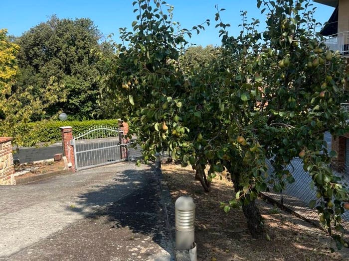 Appartamento quadrilocale in vendita in Viale del Risorgimento, Centro, Massa Marittima