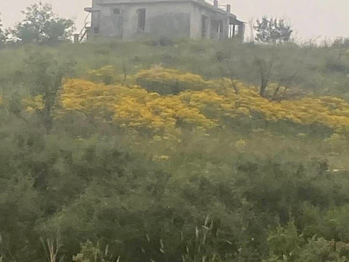 Casa con 6 locali in vendita in Via Civezza No Number, Civezza