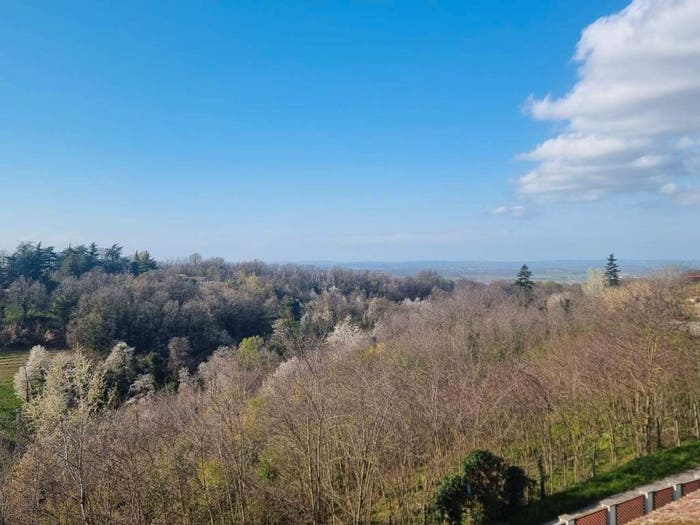 Casa con 6 locali in vendita in Centro, Mombaruzzo