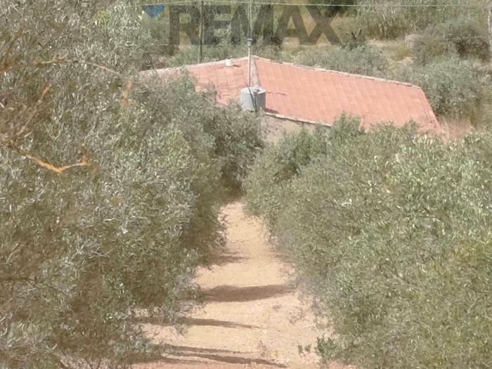 Casa con 6 locali in vendita in Via Venanzio Marvuglia, Caltagirone