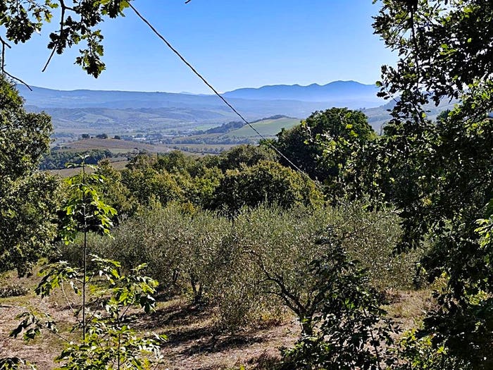 Casa con 6 locali in vendita in Castel Viscardo
