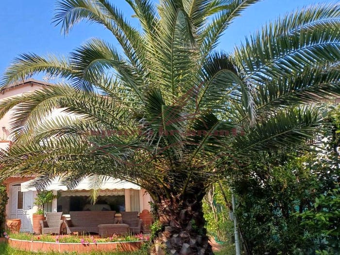 Casa quadrilocale in vendita in Via Versilia, Vittoria Apuana, Forte dei Marmi