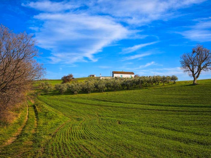 Casa con 6 locali in vendita in Contrada San Biase, Montenero di Bisaccia