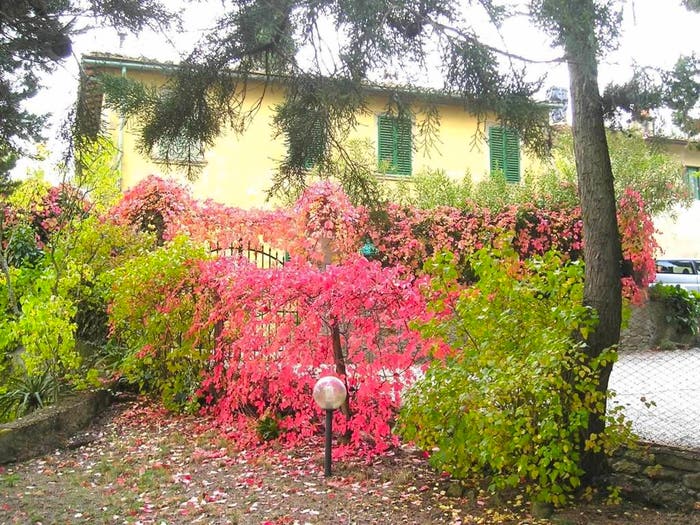 Casa con 6 locali in vendita in Località Casa Frasilio, Bucine