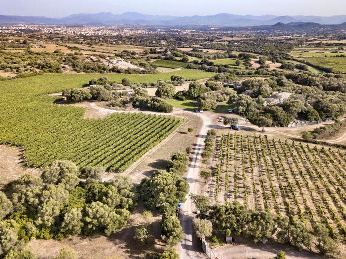 Casa con 6 locali in vendita in Via Chidonza, San Vittore, Olbia