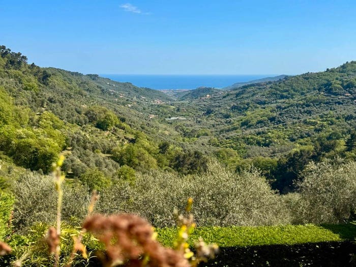 Appartamento bilocale in vendita in Gli Olivi, Diano Evigno, Diano Arentino