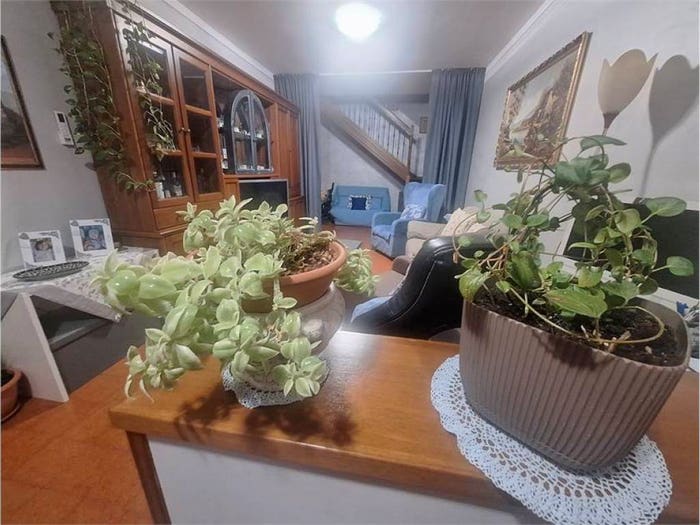 Appartamento con 6 locali in vendita in Via Karl Marx, Centro, Monsummano Terme