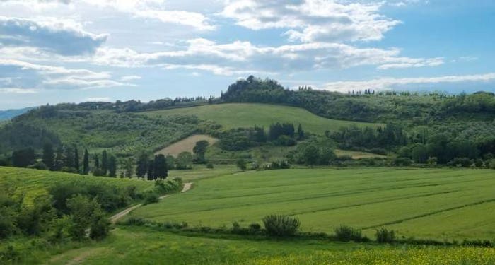 Casa con 6 locali in vendita in Fauglia