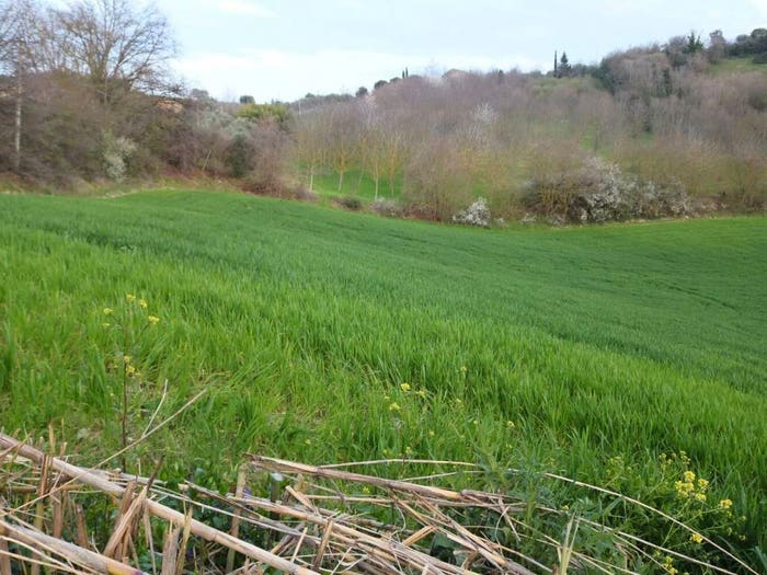 Casa con 6 locali in vendita in Via Dei Casali, Centro, Ponzano di Fermo