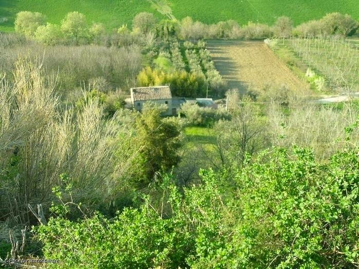 Casa con 6 locali in vendita in Contrada Montecamauro, Campofilone
