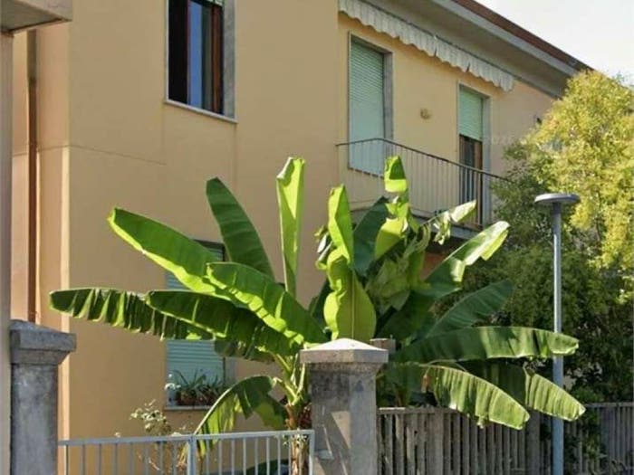 Appartamento con 6 locali in vendita in Porta a Mare, Pisa