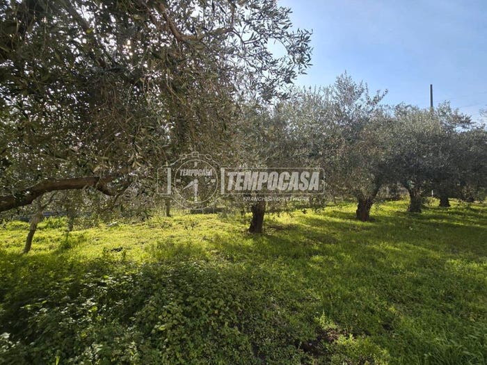 Casa con 5 locali in vendita in Avella
