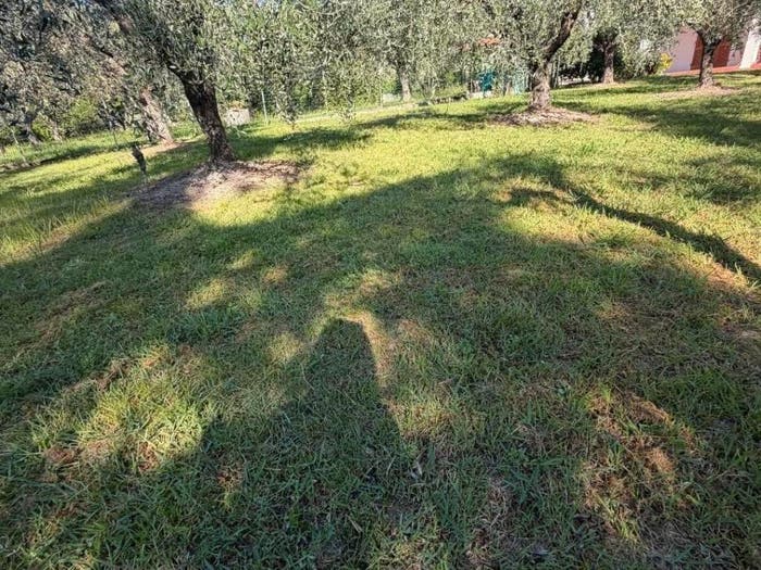 Casa con 6 locali in vendita in Viale Malaspina, Borghetto Melara, Fosdinovo