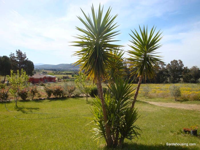 Casa in vendita in donori campagna, Donori