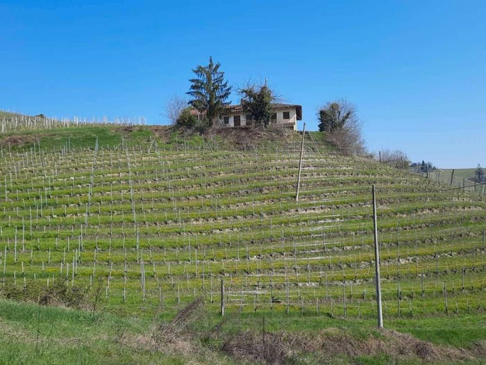 Casa con 6 locali in vendita in Località San Giuseppe, Monforte d'Alba