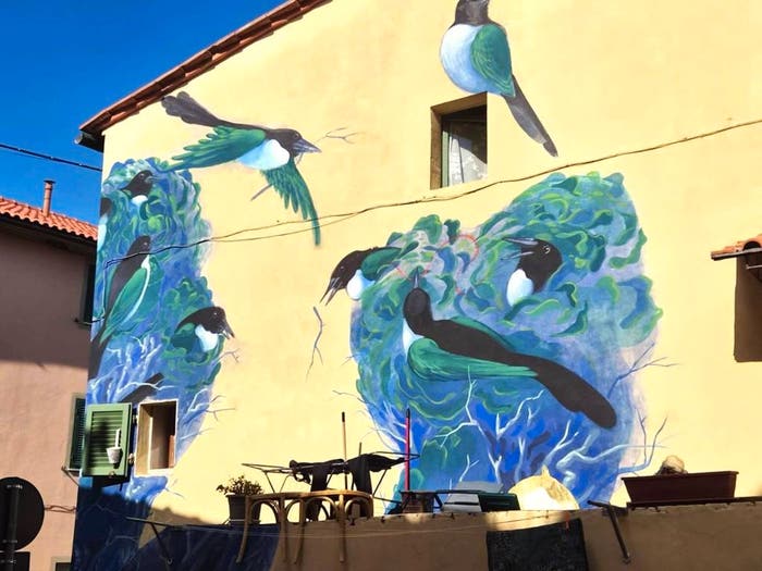 Appartamento bilocale in vendita in via della Noce, Riparbella