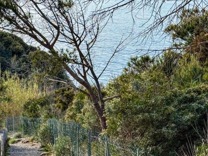 Casa con 6 locali in vendita in Procchio, Marciana
