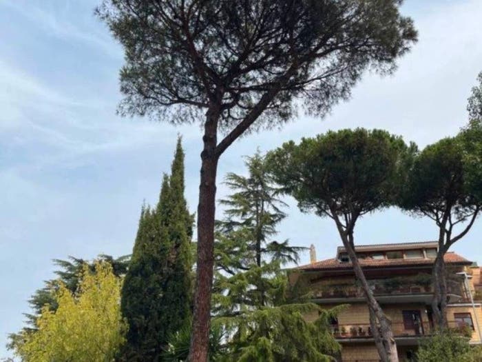 Appartamento bilocale in vendita in Via Vallombrosa, Cortina d'Ampezzo, Roma