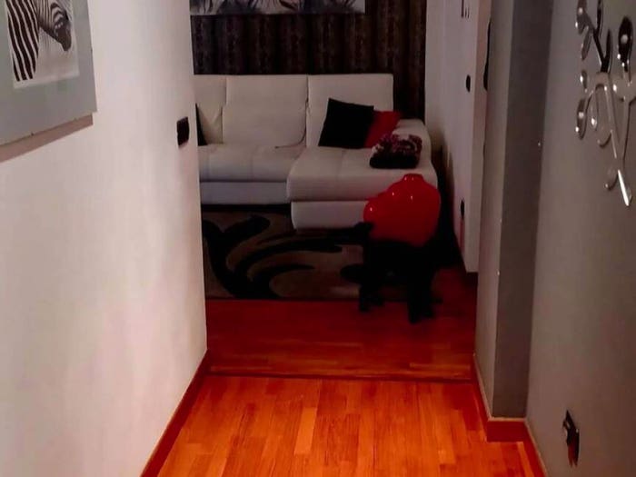 Appartamento quadrilocale in vendita in Migliarina, La Spezia