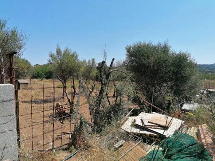 Casa con 6 locali in vendita in Rotonda Piliezzu SNC, Cugnana, Olbia