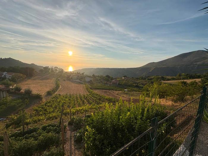Casa con 5 locali in vendita in Contrada Ferraro, Buonvicino