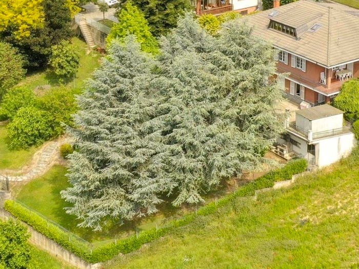 Casa con 6 locali in vendita in Via FRANCESCO VERCELLI, Camerano, Camerano Casasco