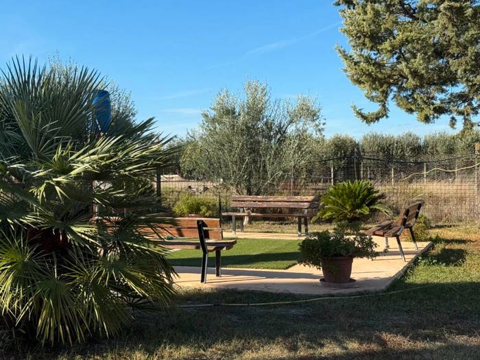 Casa con 6 locali in vendita in Strada del Salice Nuovo, Salice Nuovo, Foggia