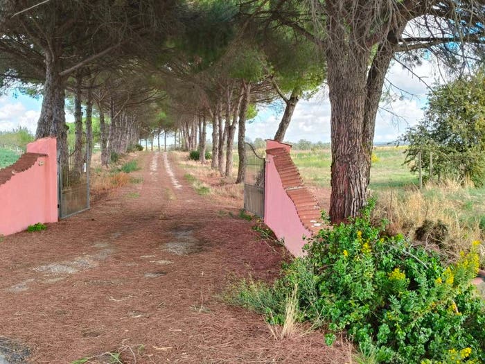 Casa bilocale in vendita in Strada Quartuccio, Montalto di Castro