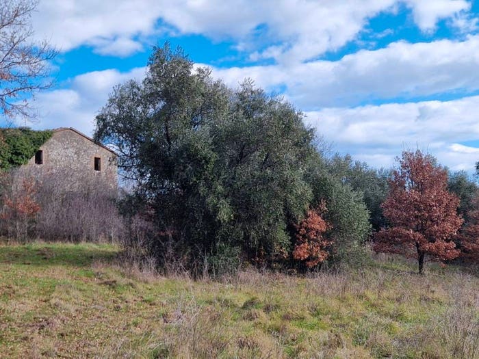 Casa con 6 locali in vendita in Vocabolo Pergolone, Avigliano Umbro