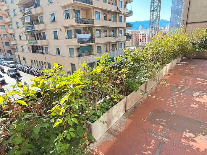 Appartamento con 6 locali in vendita in Via Francesco Dassori, Albaro, Genova