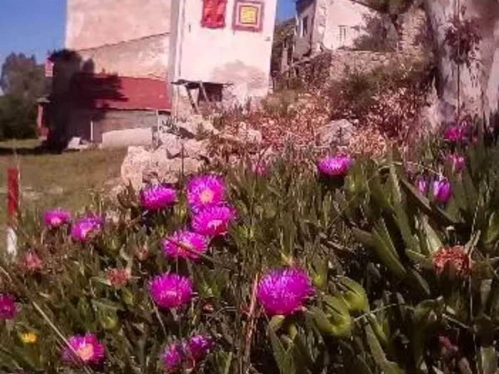 Appartamento monolocale in vendita in Località Gabbiola, Colle D'orano, Marciana