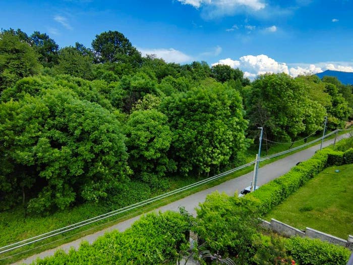 Appartamento quadrilocale in vendita in viale dei tigli, Villaggio Primavera, Avigliana