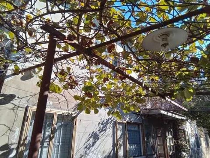 Casa con 6 locali in vendita in Via Pieve, Camaiore Paese, Camaiore