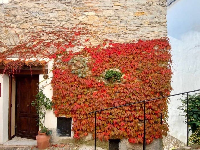 Casa quadrilocale in vendita in Via Carpasio, Prelà