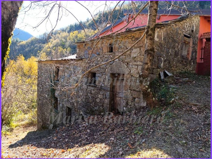 Casa quadrilocale in vendita in Strada Provinciale di Sopralacroce, Borzonasca