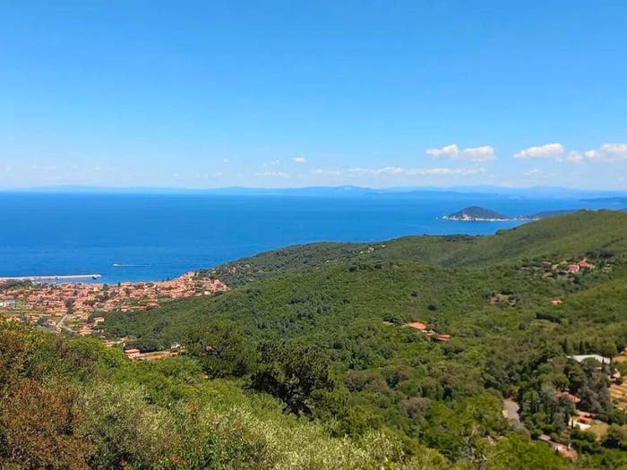 Appartamento trilocale in vendita in Marciana
