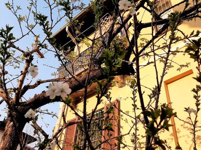 Casa quadrilocale in vendita in Via Moncalvo, Gambara, Milano