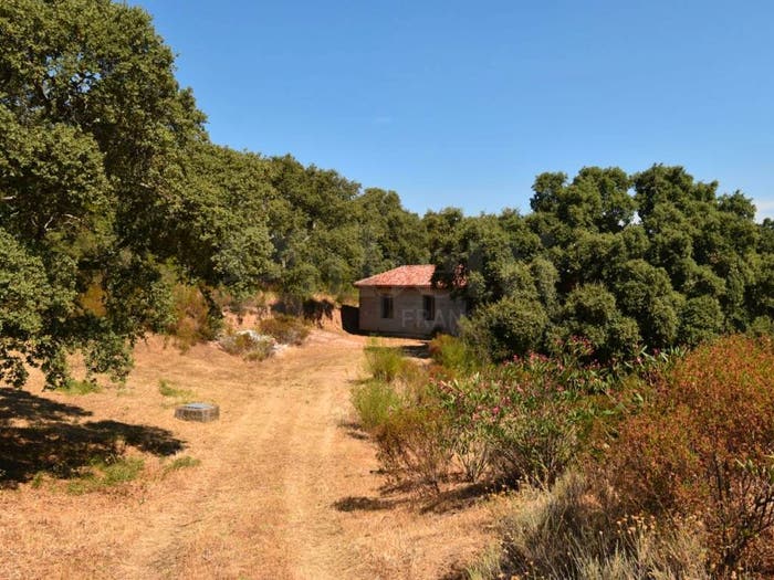Casa trilocale in vendita in Via Ladas snc, Telti