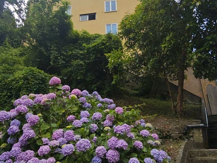 Appartamento quadrilocale in vendita in Via alle Sorgenti Sulfuree, Pra', Genova