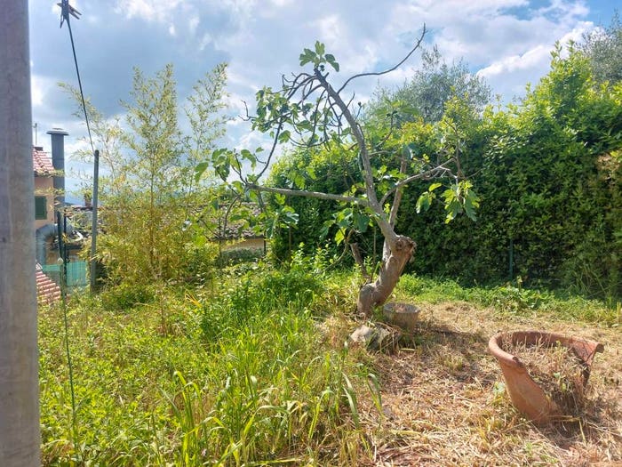 Casa con 6 locali in vendita in Carmignano