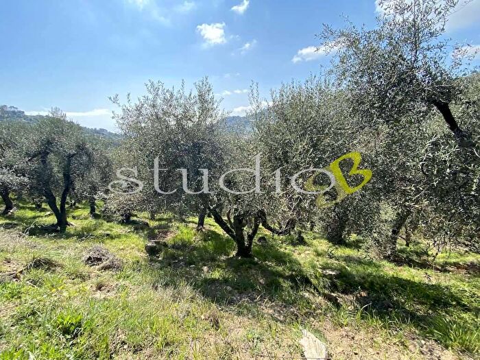 Casa bilocale in vendita in Località Massabò, Perinaldo