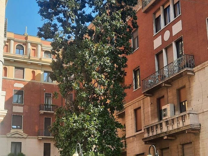 Appartamento trilocale in vendita in Via Podgora, Guastalla, Milano