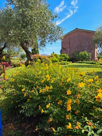 Casa con 5 locali in vendita in Via per Carignano, Sant'Alessio Carignano, Lucca