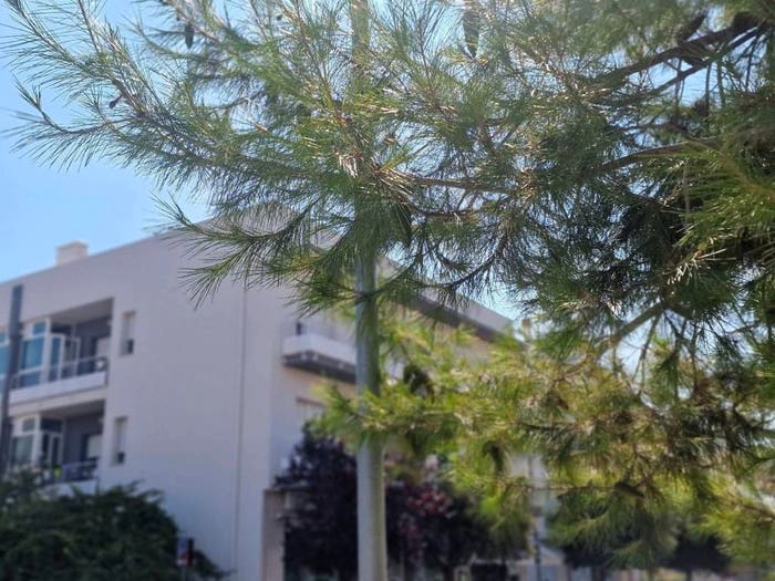 Appartamento con 5 locali in vendita in Via Trieste, Centro, Giulianova