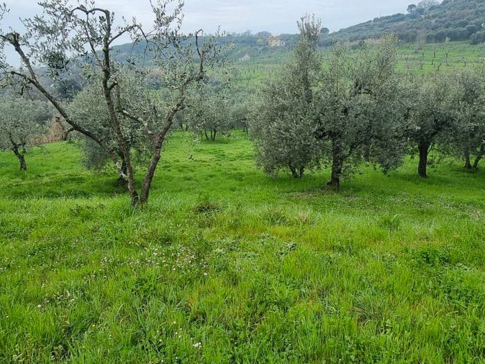 Casa quadrilocale in vendita in Via per Castelvecchio, Monsummano Terme